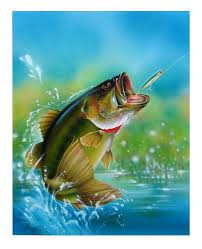 How to draw a bass fish simple, easy & slowly step by step for kidsplaylist youtube of drawing for kids easy: Realistic Largemouth Bass Drawing