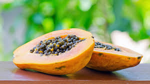 Wie bananen papaya frucht beginnt als grün und reift in seine goldene farbe. Papaya Gutekueche De