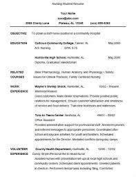 college student resume format pdf