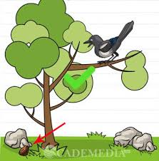 Di game ini terdapat banyak sekali puzzle untuk diselesaikan. Level 167 Brain Test