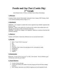 They also will receive a paragraph which contains four sentences explaining. Fossils Lesson Plans Worksheets Lesson Planet