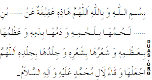 Aqiqah Faqs - Rules And Fiqh Of Aqiqah | Muslim Hands Uk