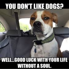 Good Luck Chewslife Memes Dogmemes Dogs Dogslife Chewiesteve Funny Dog Memes Dog Memes Dogs