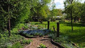 Ökogarten quedlinburg brita appelt wipertistraße 5 06484 quedlinburg telefon (03946) 70 75 10. Oko Insel Fez Berlin