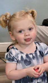 How to research and obtain a Florida Pioneer Certificate for Ancel Walker?