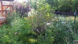 Check spelling or type a new query. Kanata Garden Services We Offer A Wide Range Of Garden And Property Maintenance Services And Products