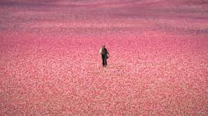 Dziś na Prime Video premiera adaptacji książki, która sprzedała się w milionach egzemplarzy i została przetłumaczona na 40 języków