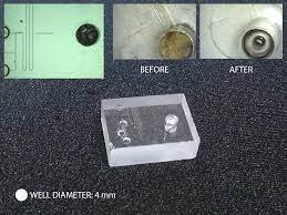 Efficient Cleaning Of A Microfluidic Chip – Chips And Tips