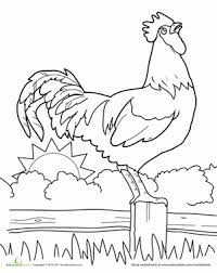 Our rooster coloring sheet has him standing in a field of grass and flowers on the farm. Rooster Worksheet Education Com