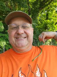 Harmless green snake found in Sevier County