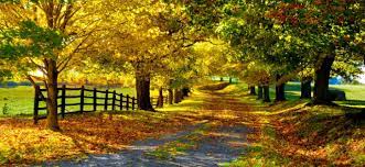 Download Autumn Themes For Windows 7 Desktop Fun Pureinfotech Beautiful Nature Scenery Landscape