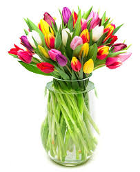 28+ active flower station coupons, promo codes & deals for april 2021. Tulips Mixed Flowers By Flourish Use Code Fbf10 For 10 Discount