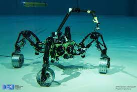 Reliable AI for Marine Robotics (REMARO)