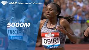 Jul 02, 2021 · the likes of eliud kipchoge, hellen obiri and julius yego are among the big names who will fly the kenyan flag high in the upcoming olympics. Zbuniti Rang Izgled Obiri Hollywoodflelections Com