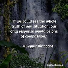 Don T Be Quick To Judge Find Compassion In All Things Judge Quotes Judging Others Quotes Compassion Quotes