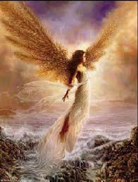 Image result for images angel touch