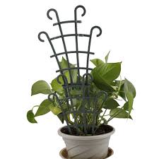If you grow pumpkins, it could be used to well, you now have 23 different options for creating a trellis for your cucumbers. Metal Trellises For Climbing Plants In Pots 30cm Black Magideal Small Trellis For Indoor Potted Plants Round Trellis To Support Your Plants Gardening Plant Support Structures Medicicapelli Com Au