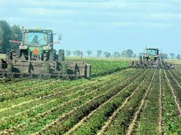 In maize and sugar beet using unmanned aerial vehicle based mapping. 3rd Annual Mechanical Weed Control Field Day Comes To Wisconsin