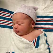 Quick break from the action! 🌳🌊