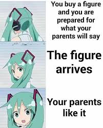 Anime Memes Otaku Vampire Knight Vocaloid Funny Anime Memes Funny Anime Memes Otaku