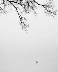 Black And White Photography Minimalist Minimalism Fog Tranquil Landscape Nature 11 X 1 Black And White Landscape Lake Photography Minimalist Photography