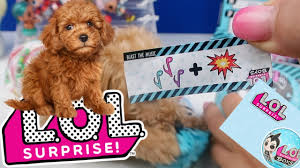 Yeni Kopegimle Yeni L O L Surpriz Erkek Bebek Lol Brothers Challenge New Lol Surprise Boys Video Youtube