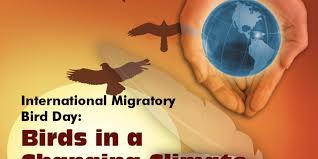 Screen Shot 2018 08 20 At 9 37 44 Am In 2021 Boy Scouts Merit Badges Fact Sheet Material