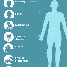 Signs and symptoms of thyroid problems depend on the type of problem, but may include weight gain or loss, heat or cold intolerance, sweating, fatigue, difficulty swallowing, a visible lump or swelling in the neck, irritability, puffiness in the face, or. Hashimoto S Disease Signs Symptoms And Complications