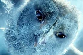 Results of tags legende din regatul bufnitelor. Filmul Legende Din Regatul BufniÅ£elor 3d Filme Fest Md