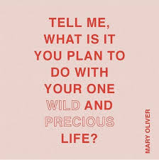 Mary Oliver Quote Design By Paige Blank Paige Design Wise Words Quotes Inspirational Quotes For Entrepreneurs How To Plan