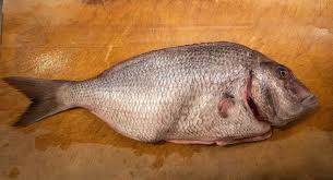 We did not find results for: Porgy Recipes Eating With The Ecosystem
