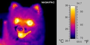Infrared detectors work on the principle of heat.the detector aims multiple beams of infrared waves or curtains into the detection path.the detector is looking for the difference in temperature between each curtain. Thermographic Camera Wikipedia