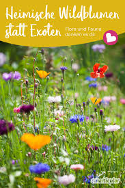 Dieses wissen fördert das verständnis für das netzwerk der natur, denn je größer die vielfalt an heimischen pflanzen, desto größer wird die vielfalt an. Heimische Wildblumen Statt Exoten Diese Blumen Sind Im Garten Am Nutzlichsten