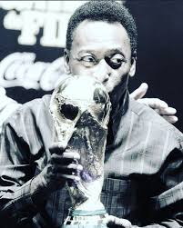 STEVEO (@23steveo) • Instagram photos and videos