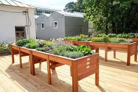 The small vegetable plot vegetable gardening used to be the poor relation of ornamental flower gardens. 25 Incredible Vegetable Garden Ideas Trees Com