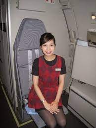 pin on flight attendant