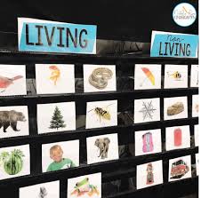 Pictures of living and non living things to sort. Living And Nonliving Things Activities For Kindergarten Or 1st Grade Natalie Lynn Kindergarten