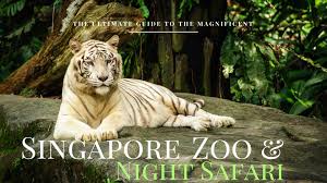 Learn more about this activity's enhanced health & hygiene measures. Singapore Zoo And River Safari Nerd Nomads