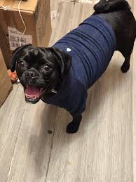 UPDATE:. Both are home safe!!!