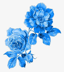 Flowers Pattern Flower Print Png Transparent Clipart Image And Psd File For Free Download Flower Drawing Flower Phone Wallpaper Flower Art