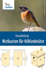 Bauanleitung Hohlenbruter Nistkasten Nabu Nistkasten Nistkasten Selber Bauen Vogel Im Garten