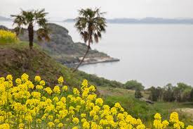 Teshima Island Japan Travel By Navitime Japan Travel Guides Transit Search And Itinerary Planner