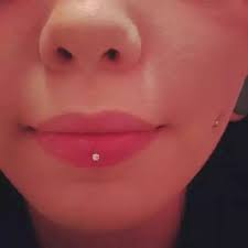 Invert Vertical Labret Lip Bodypiercingmag Com Lip Piercing Lip Piercing Stud Cheek Piercings