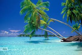 99 1 Deleted Permanent Vacation Landscape Wallpaper Palm Trees Wallpaper Beach Landscape