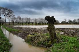 De twee limburgse veiligheidsregio's waarschuwen voor (plotselinge) stijging van de waterstand in de maas, zijrivieren en beken in heel limburg. Waarom De Grondwaterstand In De Kempen Nog Steeds Te Laag Is Gazet Van Antwerpen Mobile