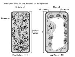 Check spelling or type a new query. Biology Help The Student Room