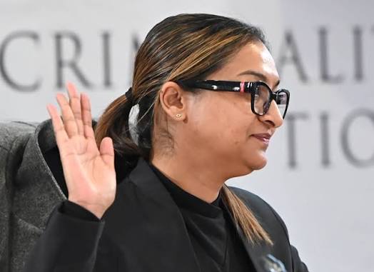 LISTEN | 'They're going to make our names s***': Recording reveals Johnson's Madlanga fears | News24