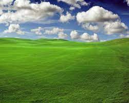 Windows Xp Wallpapers Hd Wallpaper 1920 1080 Xp Wallpaper 54 Wallpapers Adorable Wallpapers Field Wallpaper Nature Green Fields