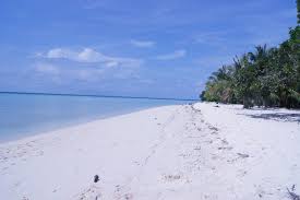 I Don T Even Remember What Beach Is This