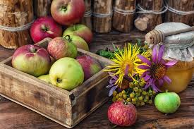 Когда можно и когда нельзя крестить ребенка; Dnc4stkzsvi Em